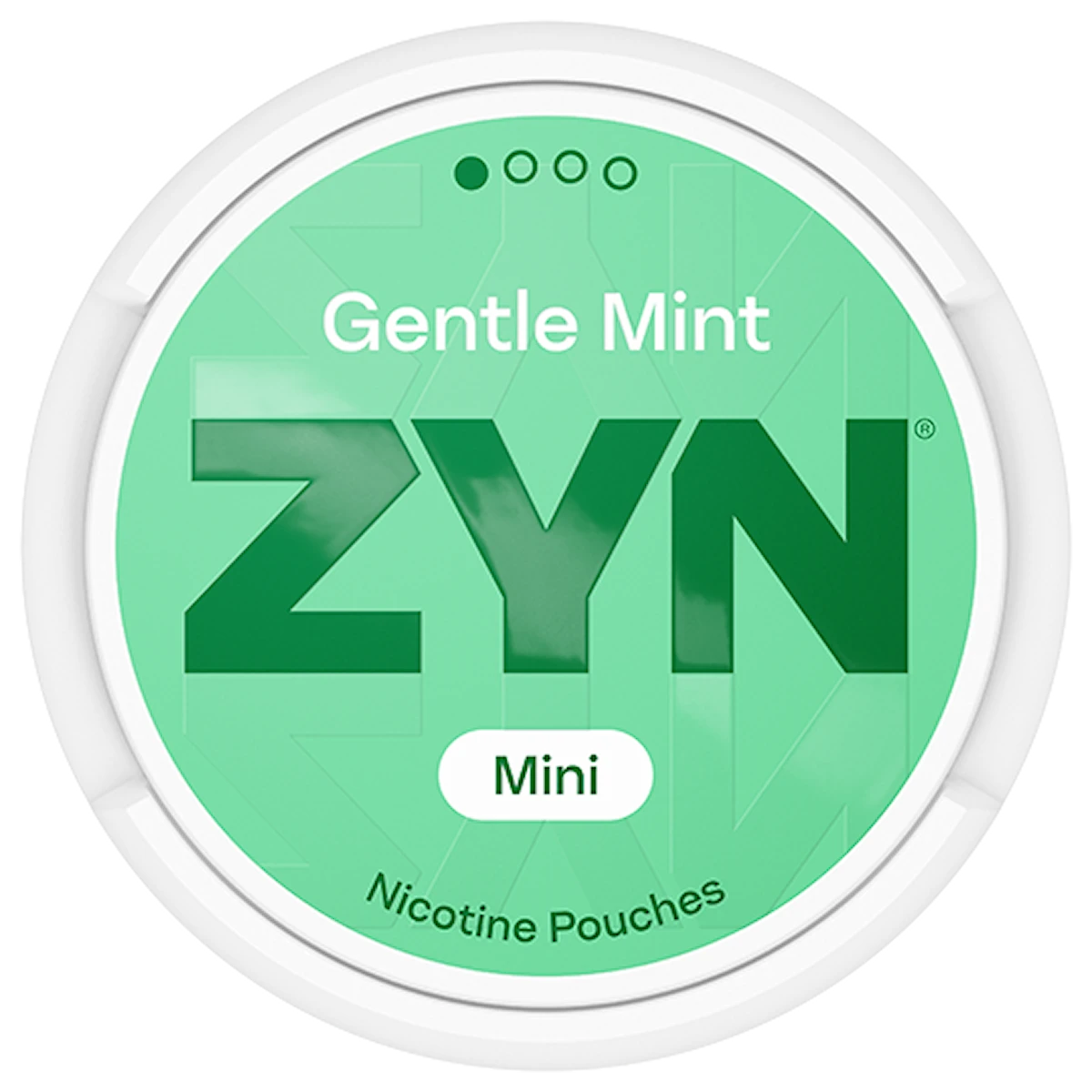 ZYN Gentle Mint Mini Low