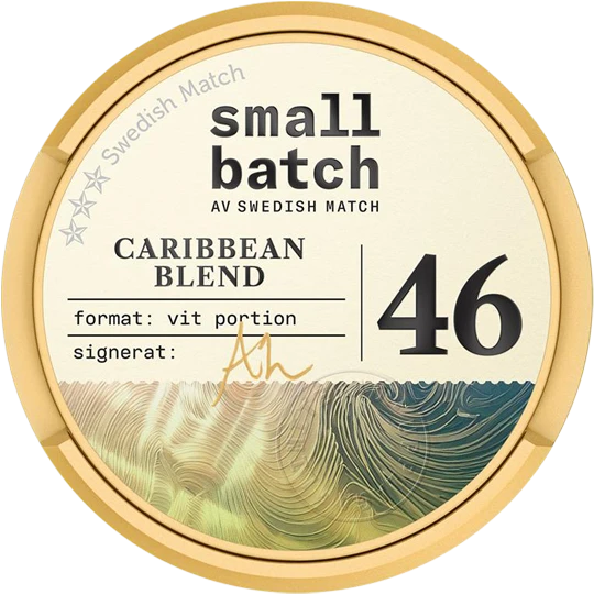 ZYN Watermelon Mint Slim Normal