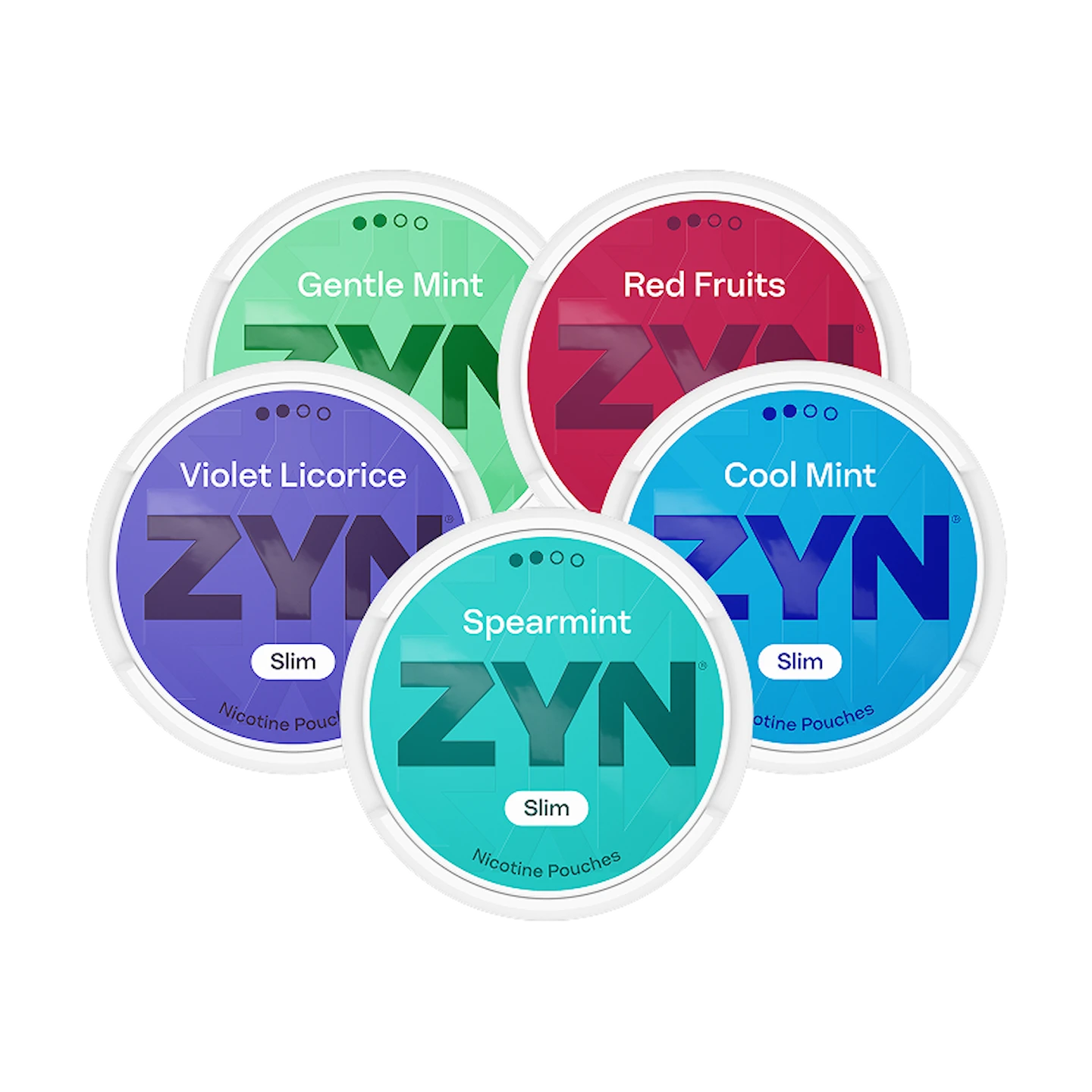 ZYN Mixpaket Slim Normal x5