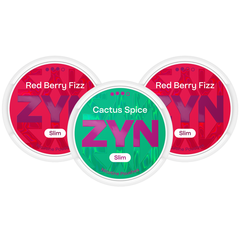 ZYN Red Berry Fizz & ZYN Cactus Spice Mixpaket