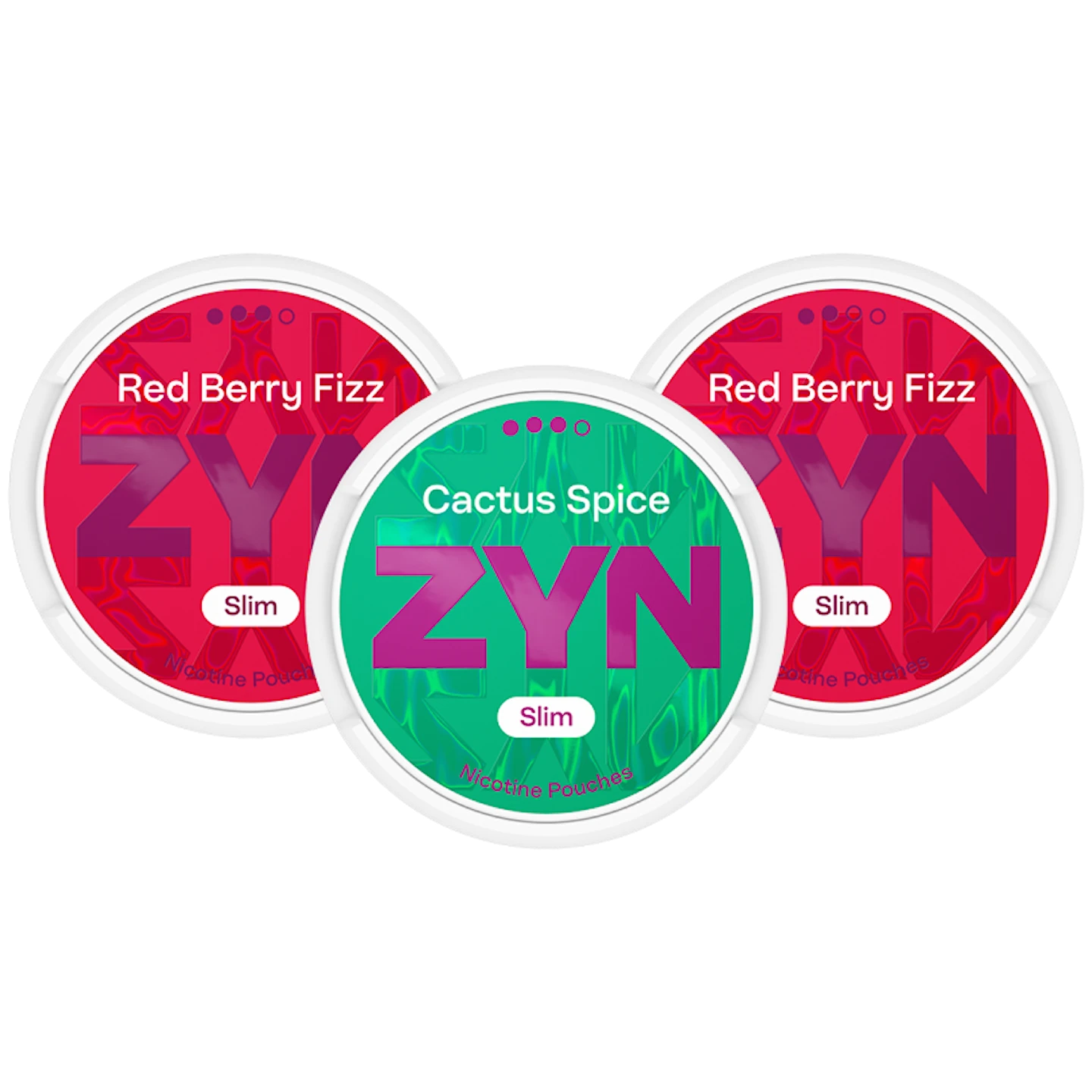 ZYN Red Berry Fizz & ZYN Cactus Spice Mixpaket