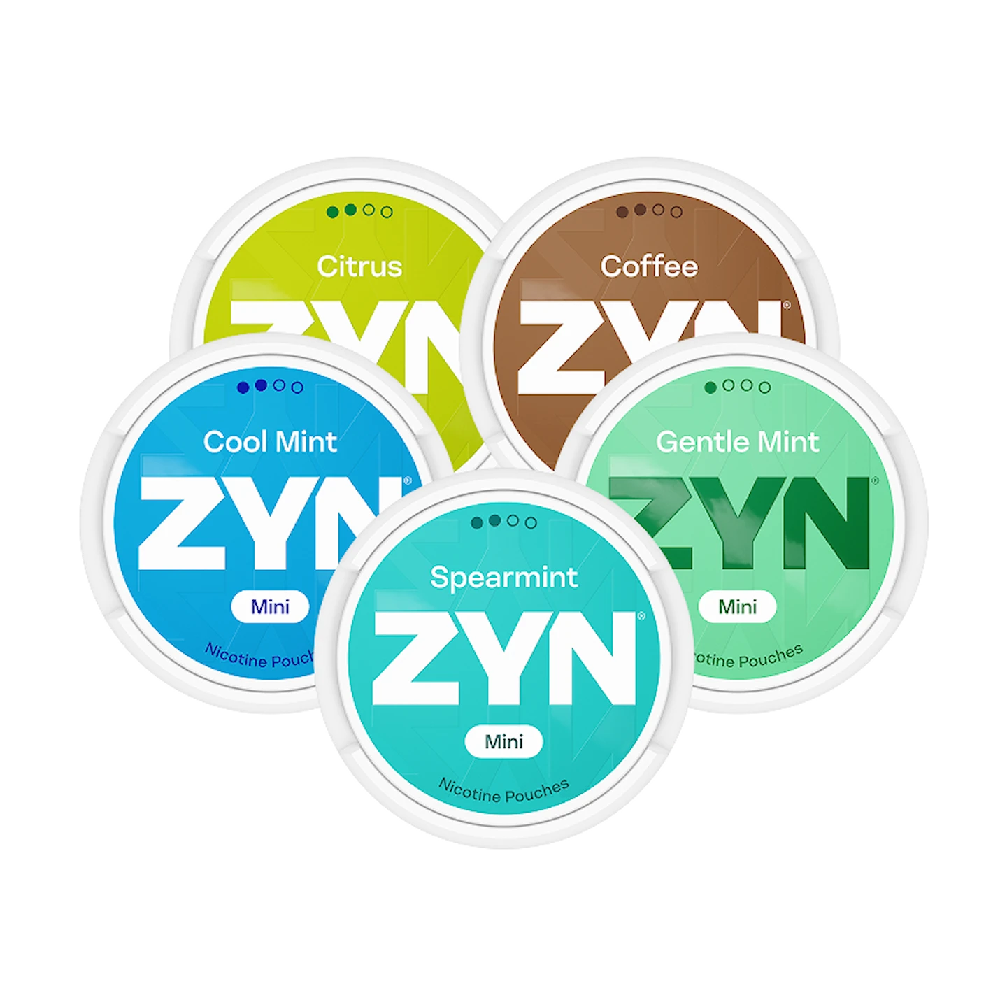 ZYN Mixpaket Mini x5