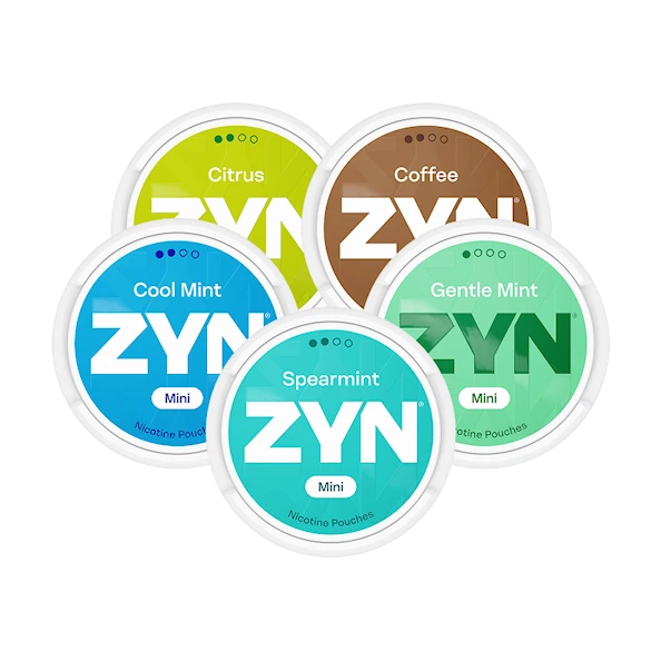 ZYN Mixpaket Mini x5