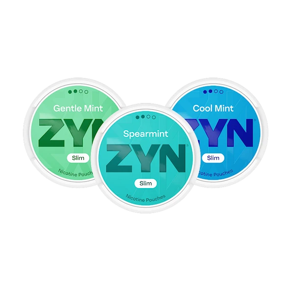 ZYN Mixpaket Mint Normal