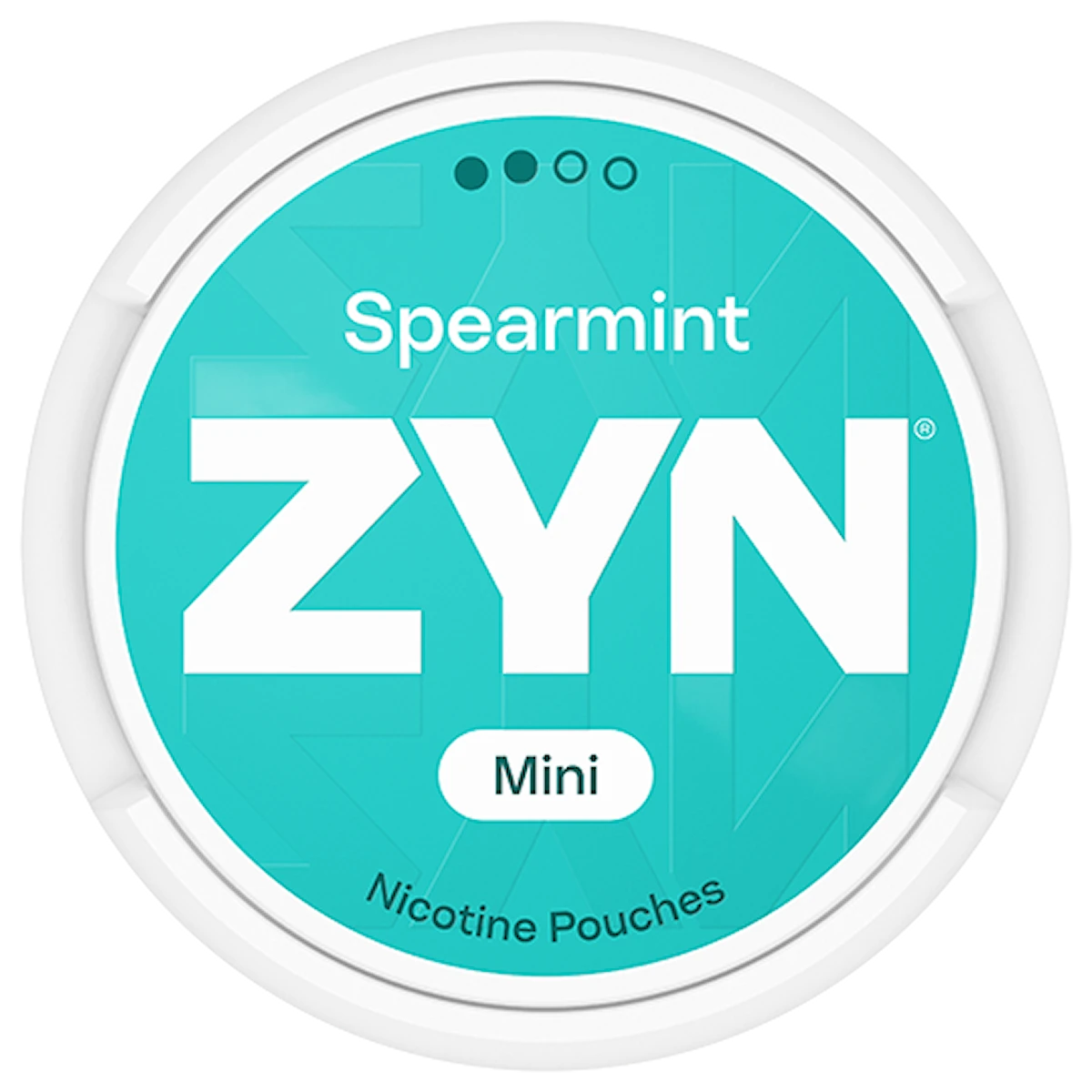 ZYN Spearmint Mini Normal