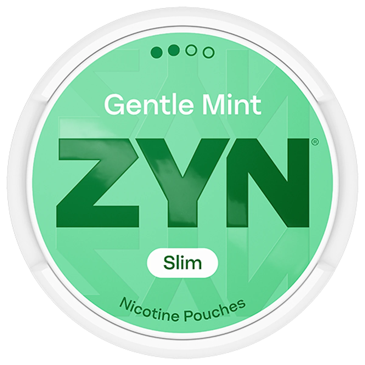 ZYN Gentle Mint Slim Normal